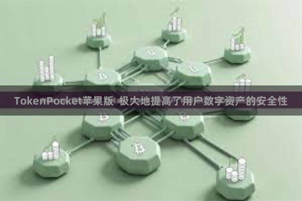 TokenPocket苹果版 极大地提高了用户数字资产的安全性