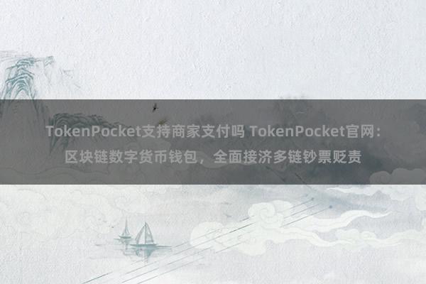 TokenPocket支持商家支付吗 TokenPocket官网：区块链数字货币钱包，全面接济多链钞票贬责