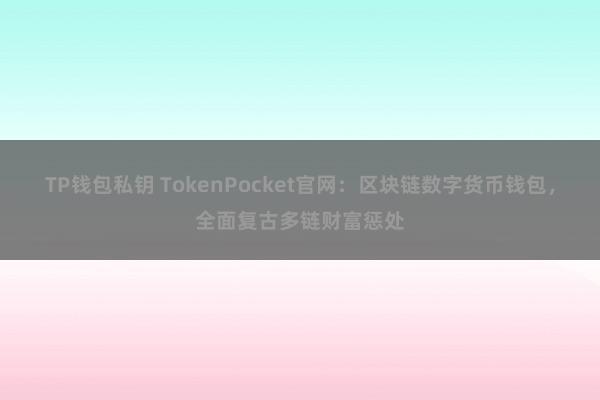 TP钱包私钥 TokenPocket官网：区块链数字货币钱包，全面复古多链财富惩处